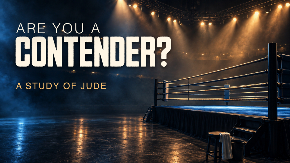 Are You a Contender?